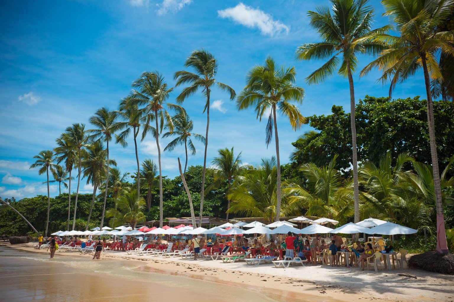 Praia Dos Coqueiros Em Trancoso Vale A Pena O Que Fazer Em