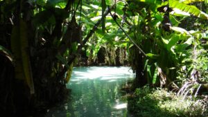 Fervedouro Das Maca Bas Jalap O Saiba Tudo Sobre O Local