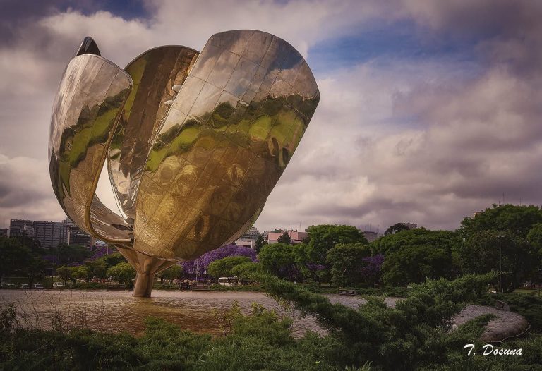 floralis genérica