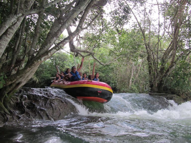 EcoPark Porto da ilha