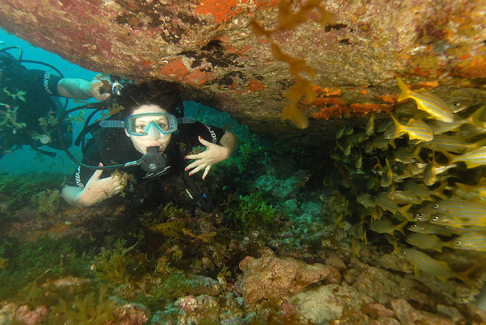 Mergulho pela Atlantis Divers
