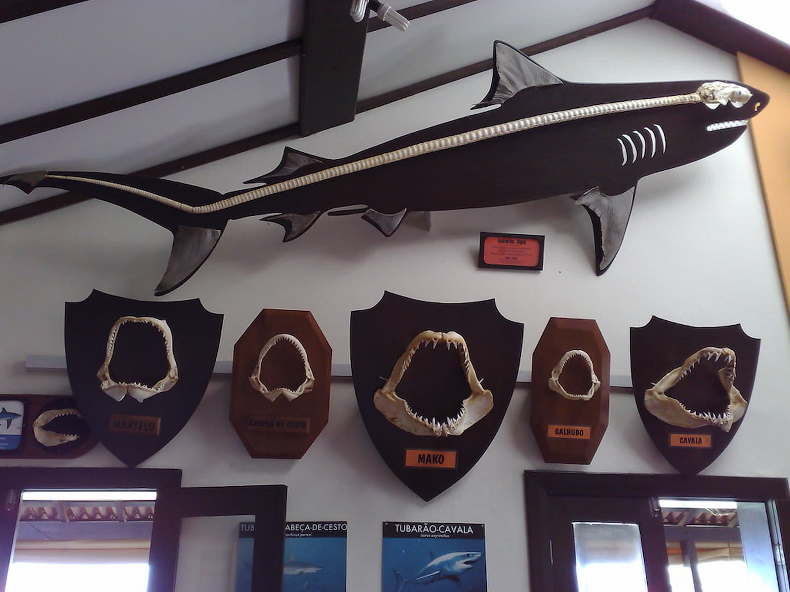 Museu do Tubarão