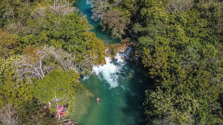 Bosque das Águas