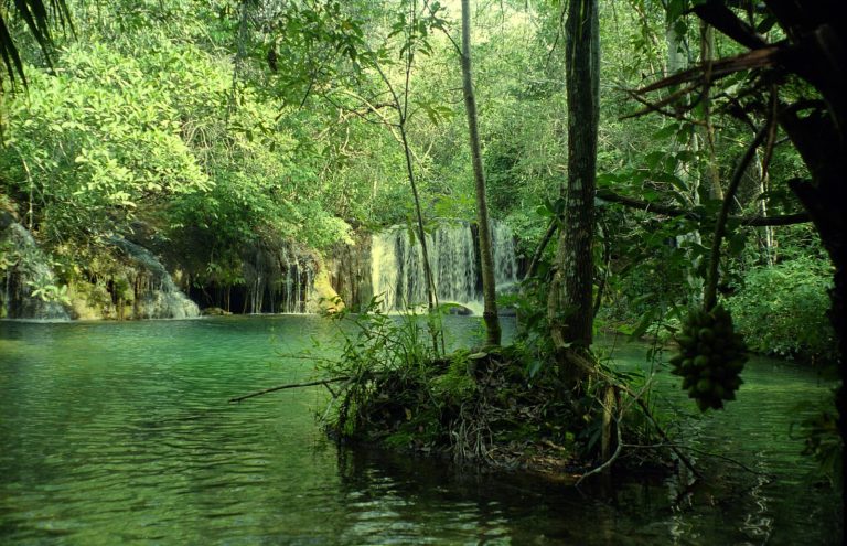 Estância Mimosa