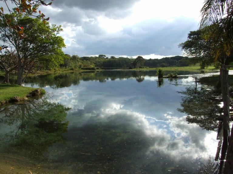 Fazenda Ceita Corê