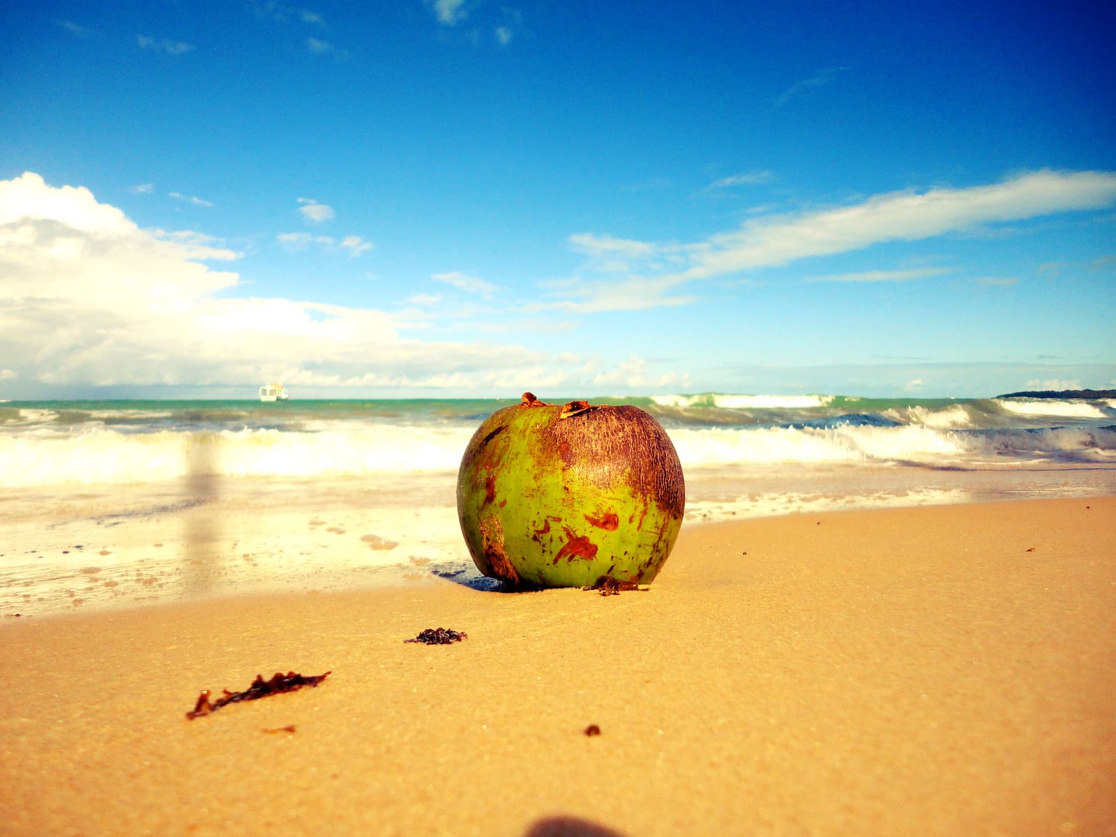 Praia dos coqueiros