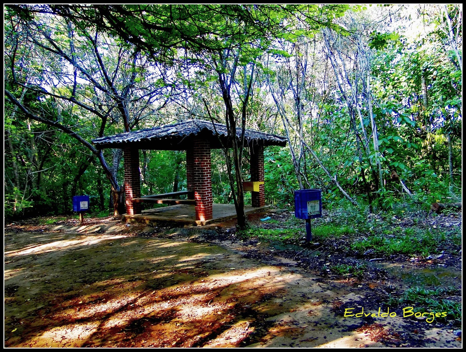 Parque de Pituaçu