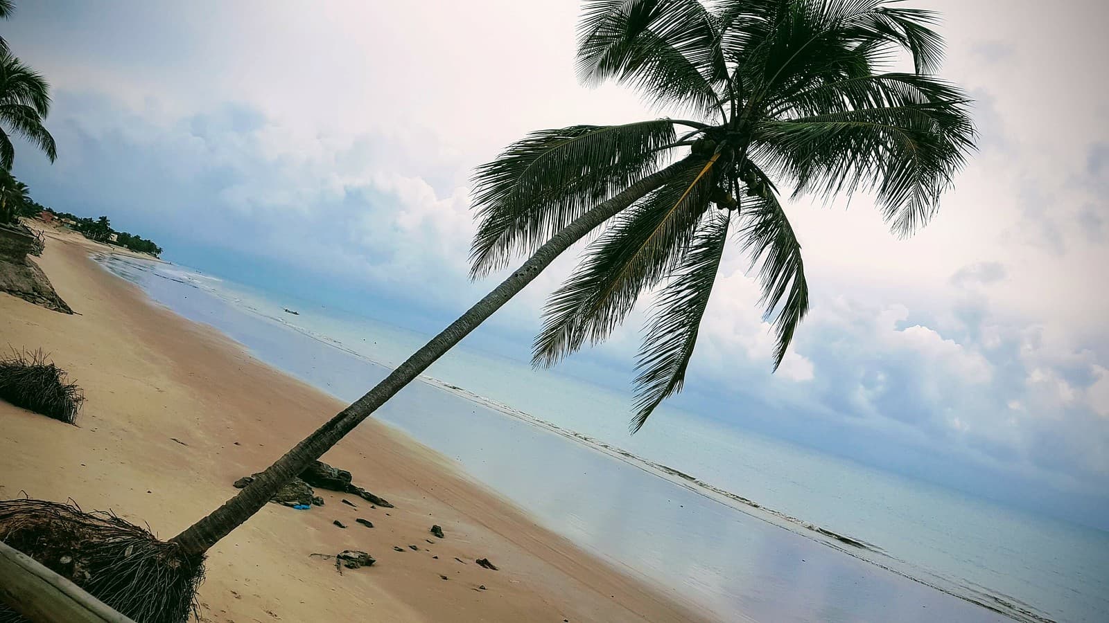 Praia de Maracajaú (RN): Como é? Vale a Pena Ir em 2023