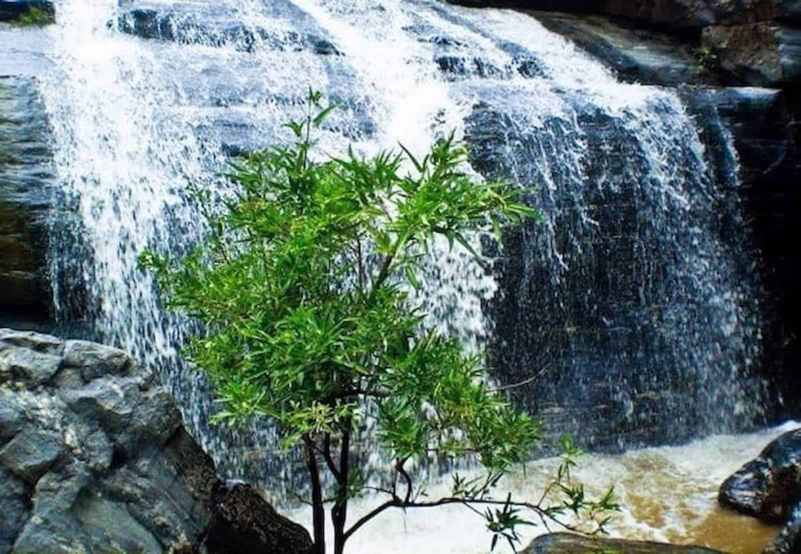 Cachoeira da Cafuca