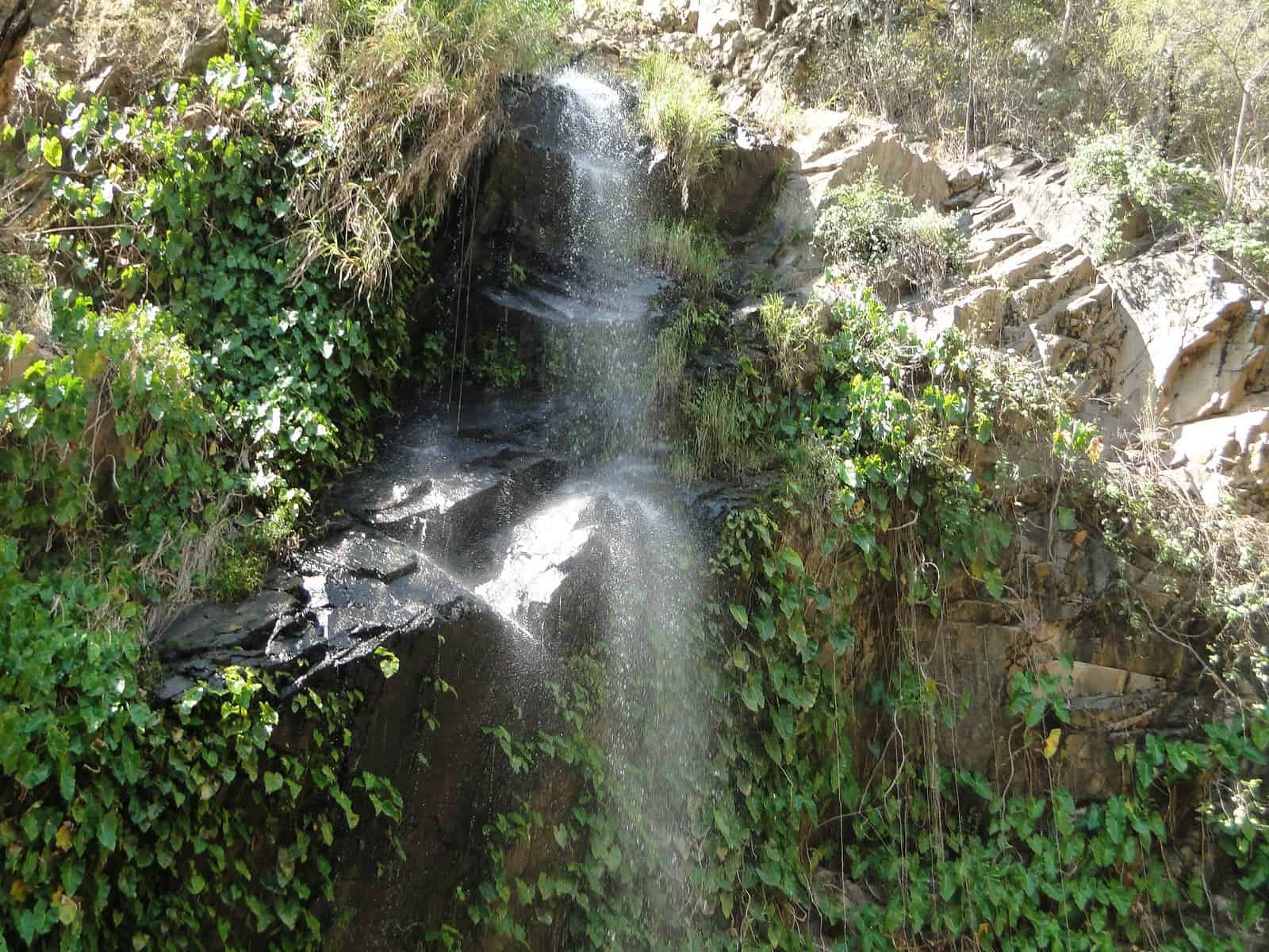 Cachoeira do Pinga