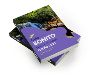 mockup bonito