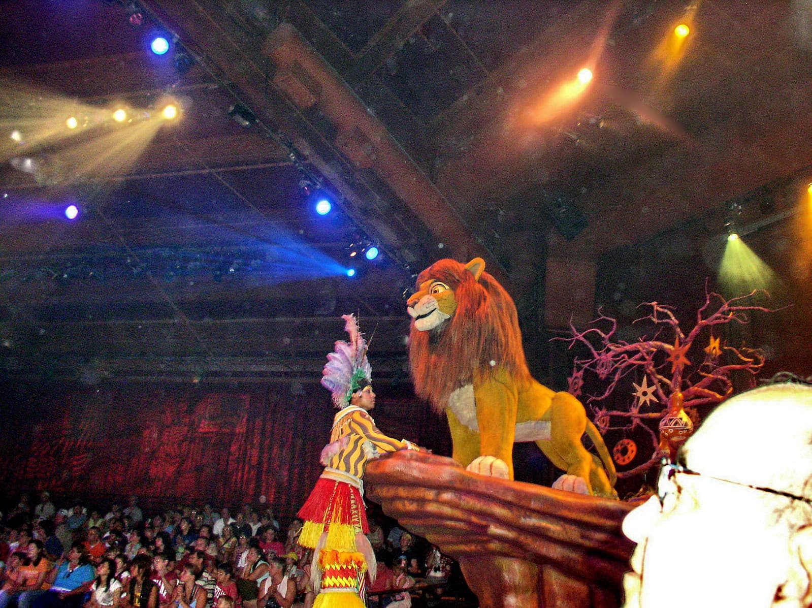 Festival of the Lion King