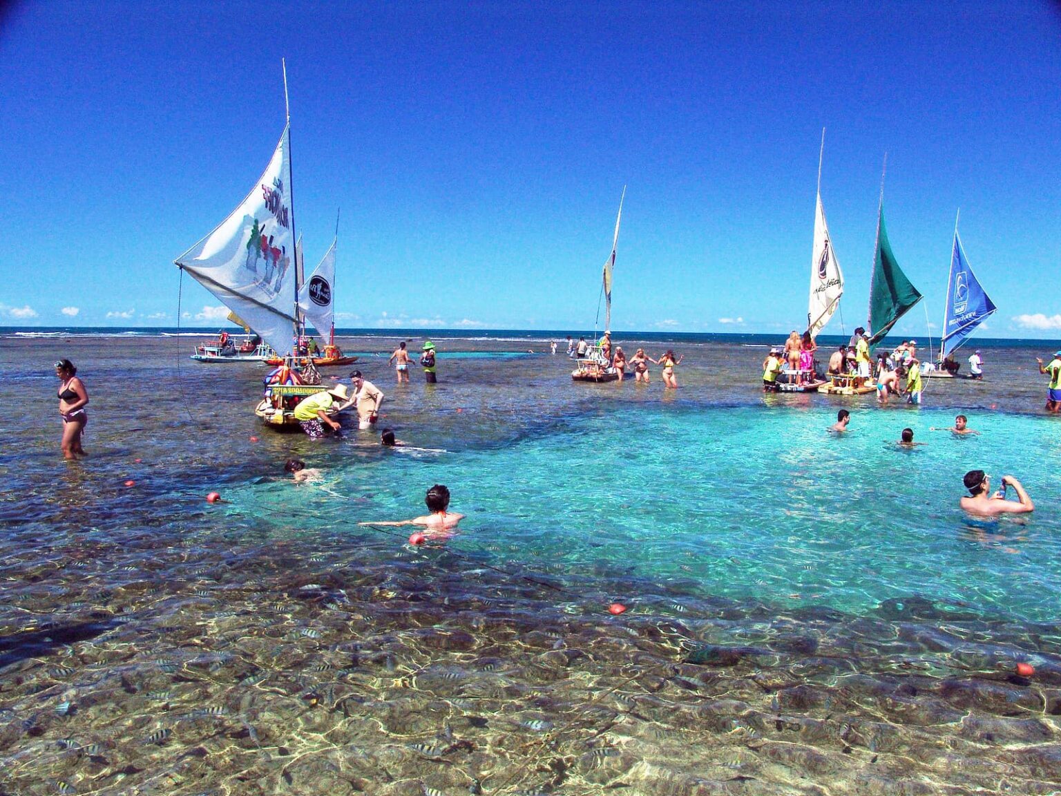 Transportes Do Mundo Todo De Todos Os Modelos Piscinas Naturais De Porto De Galinhas Conhe A O