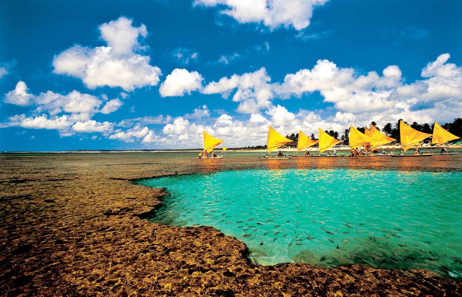 Piscina natural de Porto de Galinhas