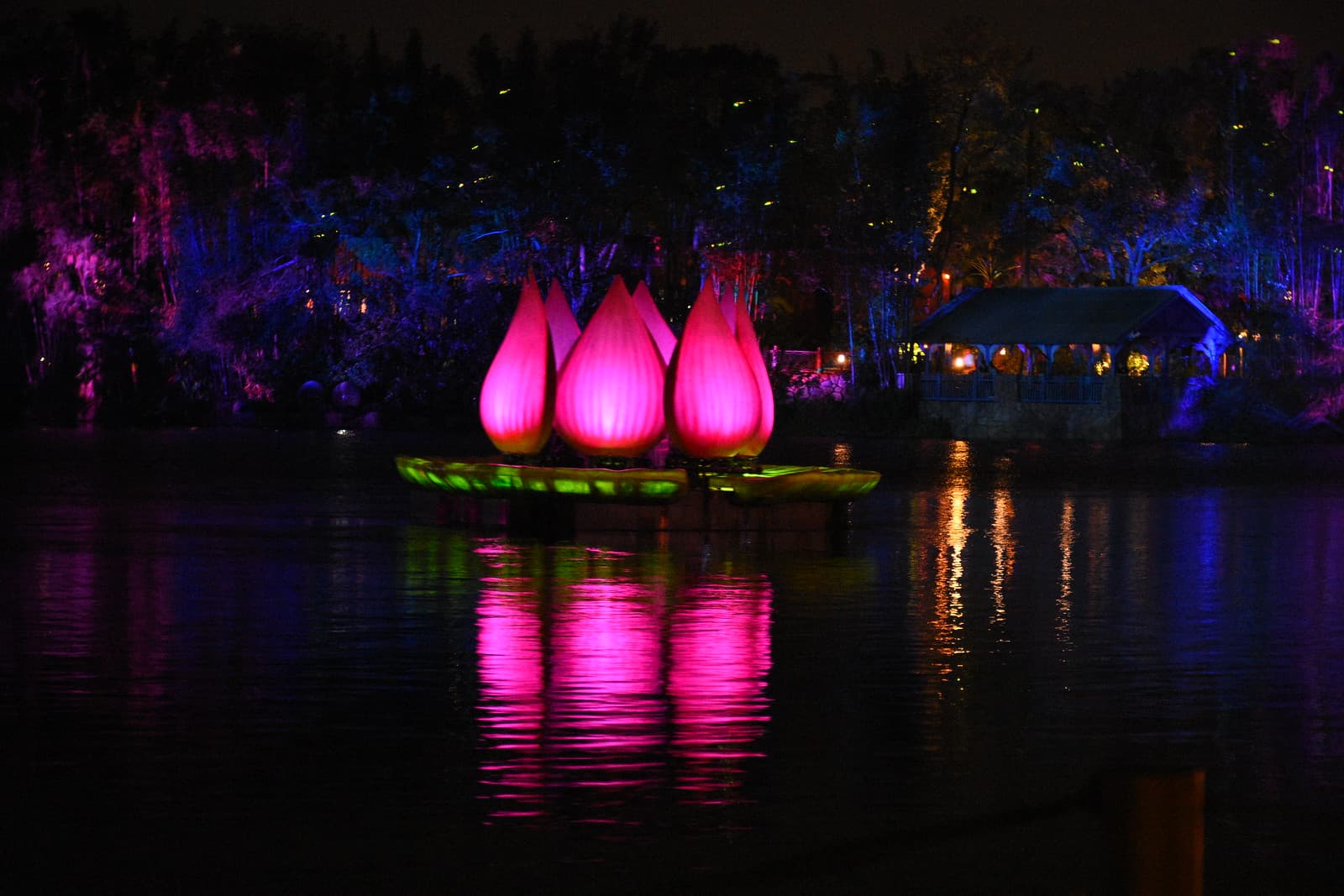 Rivers of Light