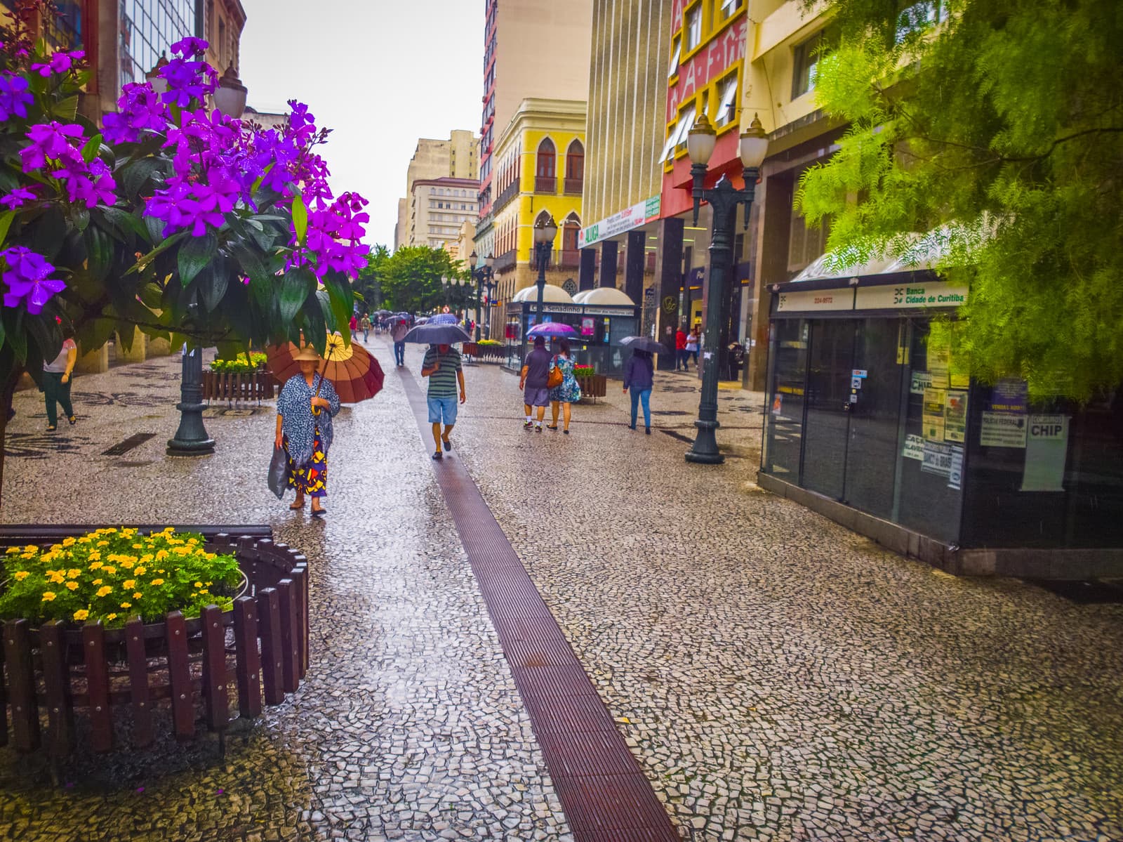 Rua das Flores em Curitiba Vale a Pena? Veja os Prós e Contras