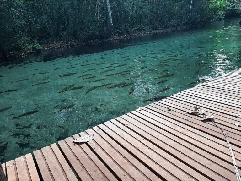 Balneário Refúgio da Água Azul