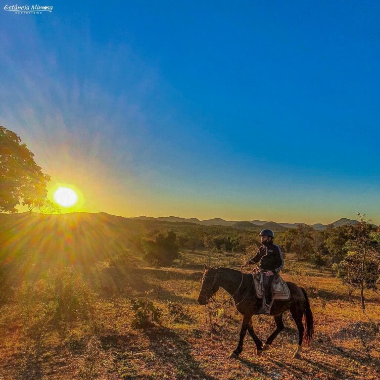 Cavalgada Estância Mimosa