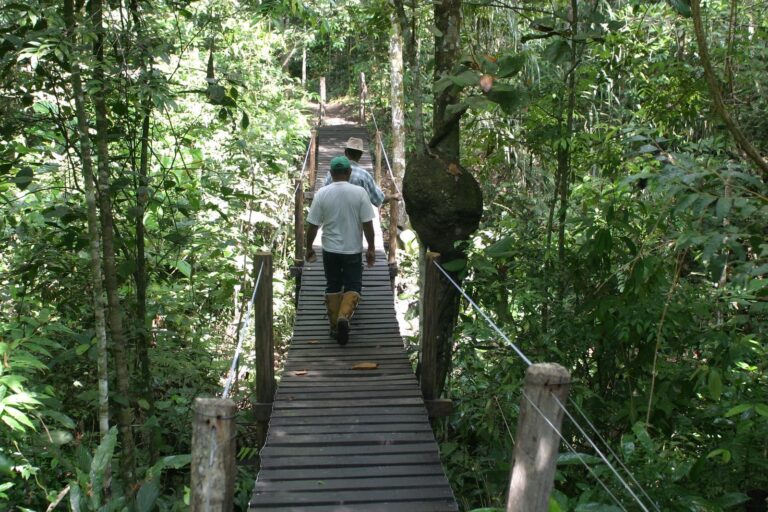 Chapada Pantanal Turismo
