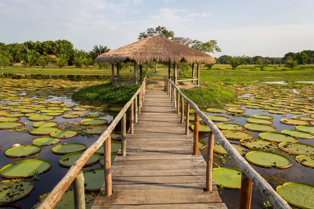 Roteiro Para Nobres, Pantanal E Chapada Dos Guimarães: 8 Dias