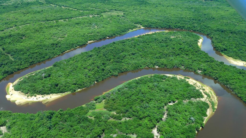 Rio Negro Pantanal