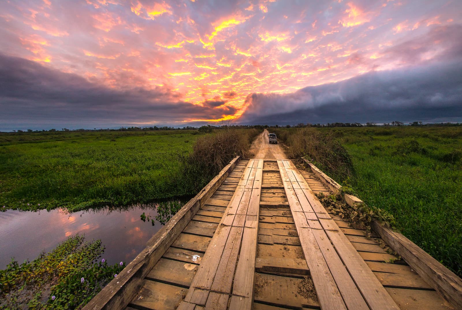 Trilha pelo Pantanal