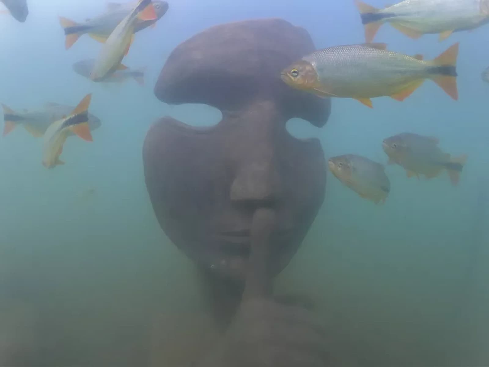 Museu subaquático de Bonito