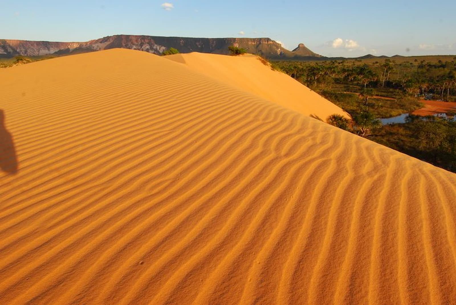 Deserto do Jalapão