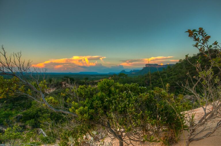 Serras Gerais Tocantins