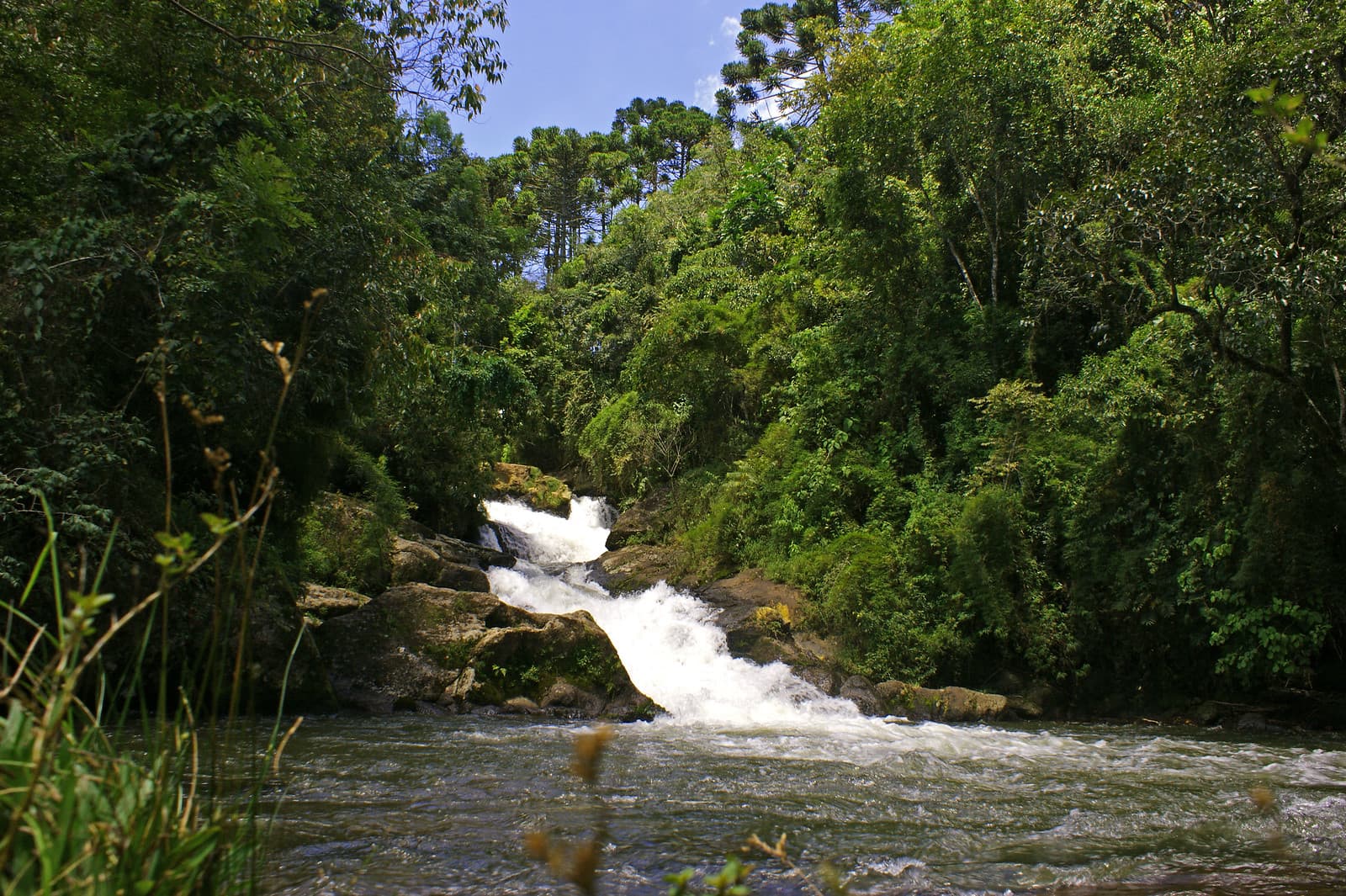 Cachoeira do Simão